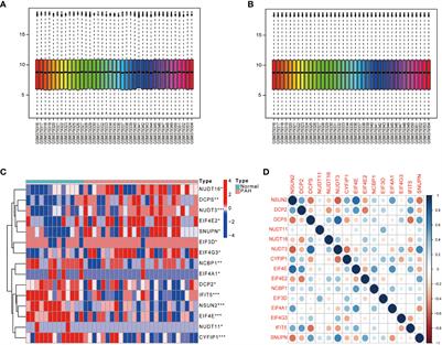 Analysis of m7G methylation modification patterns and pulmonary vascular immune microenvironment in pulmonary arterial hypertension